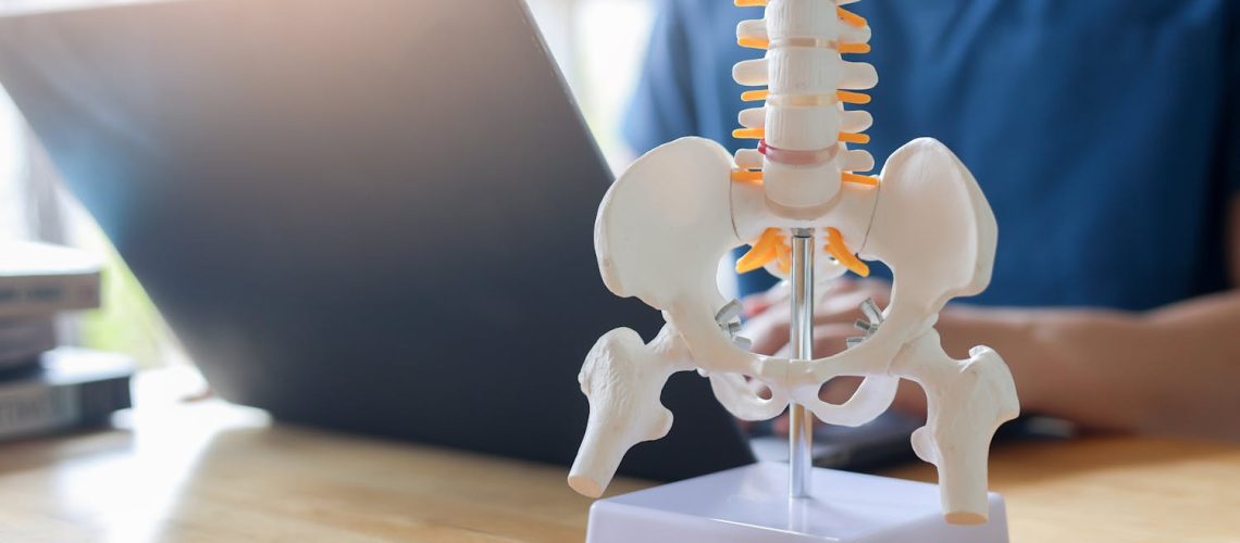 Tout savoir sur le sacrum, pilier méconnu de notre squelette